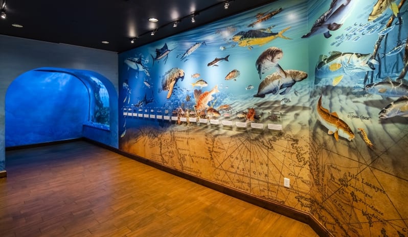 RumFish Beach Resort Underwater Viewing Area